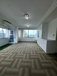 Rajah Tower (D12), Apartment #501311491